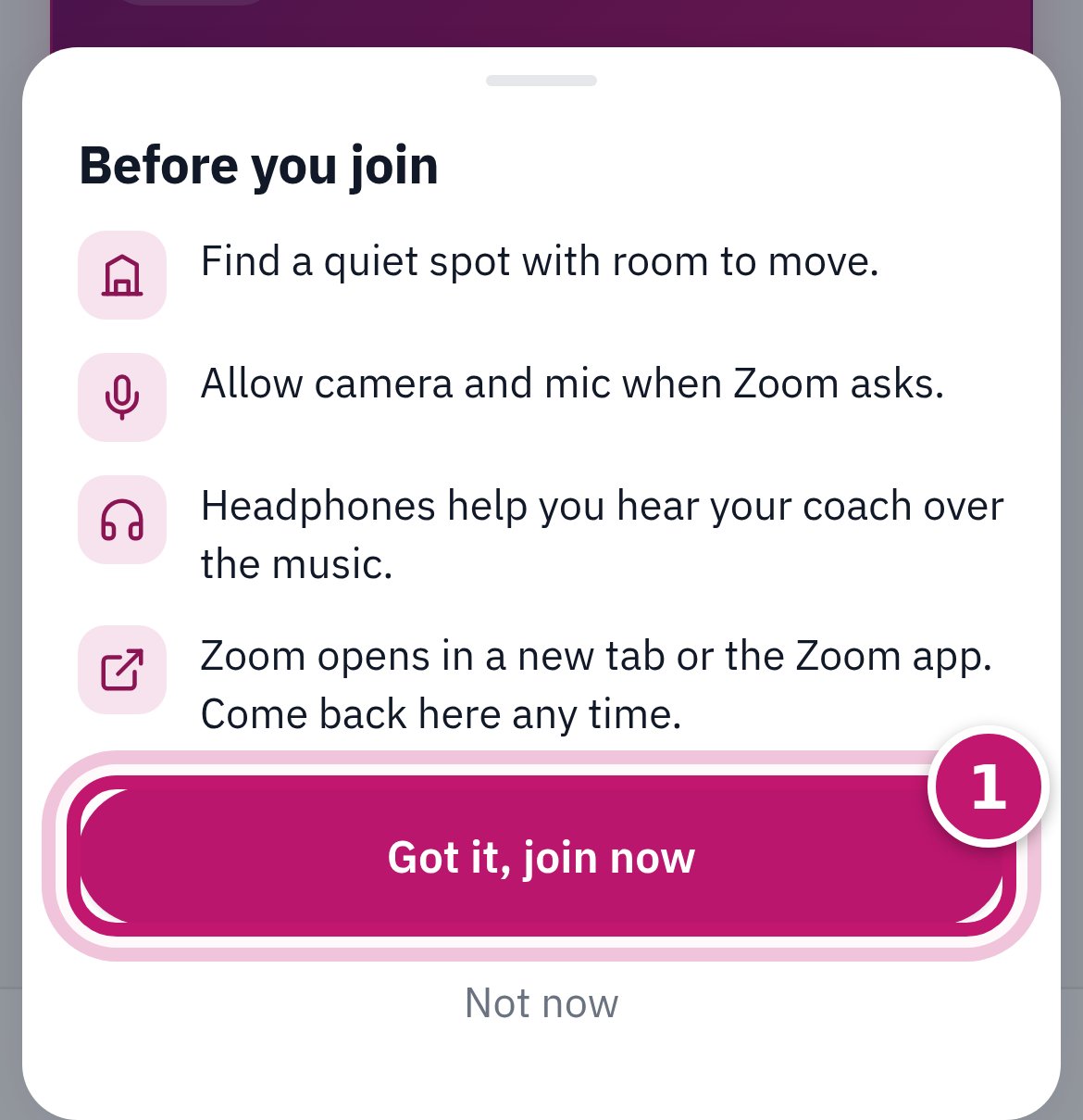 The Before you join box with four tips and Got it, join now circled