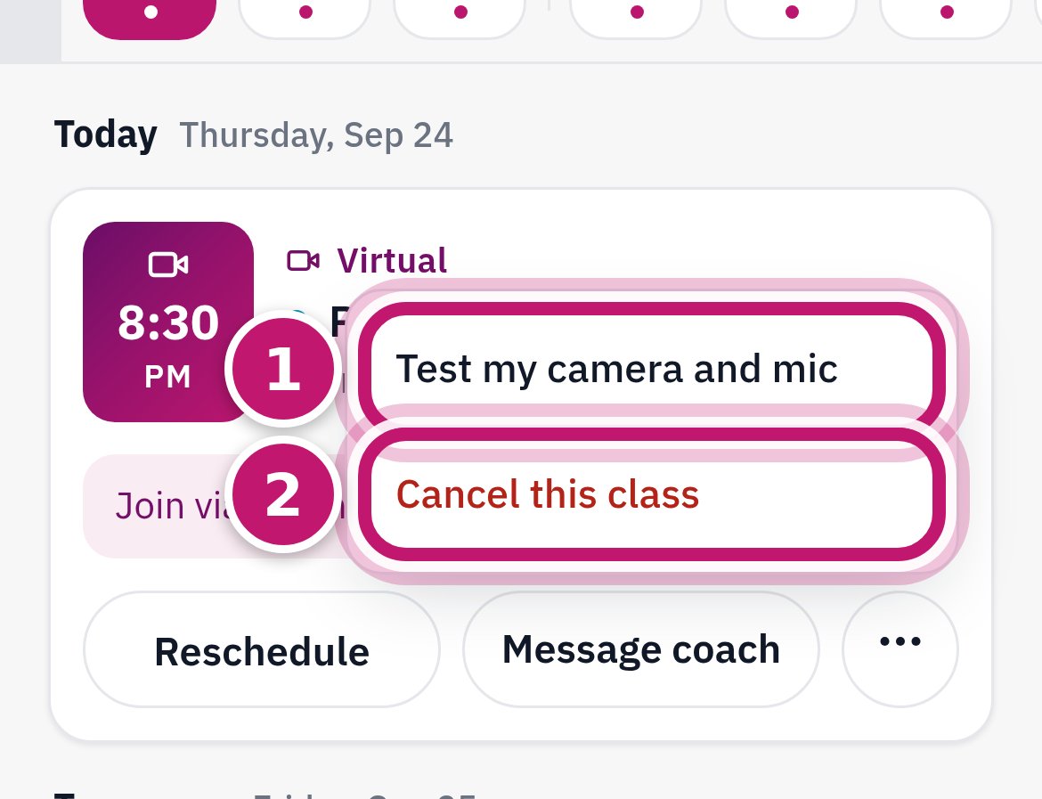 The three-dot choices: Test my camera and mic numbered 1, Cancel this session numbered 2