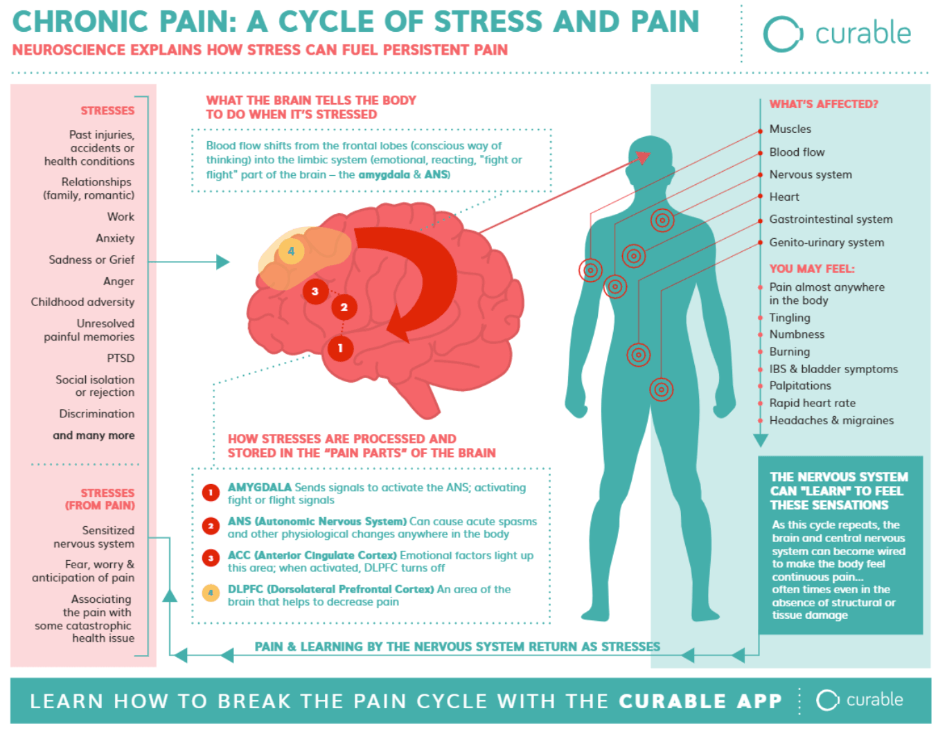 Pain: The MindBody Connection